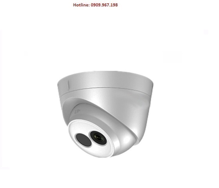 Camera IP Dome hồng ngoại 2.0 Megapixel HDPARAGON HDS-2120IRP/D