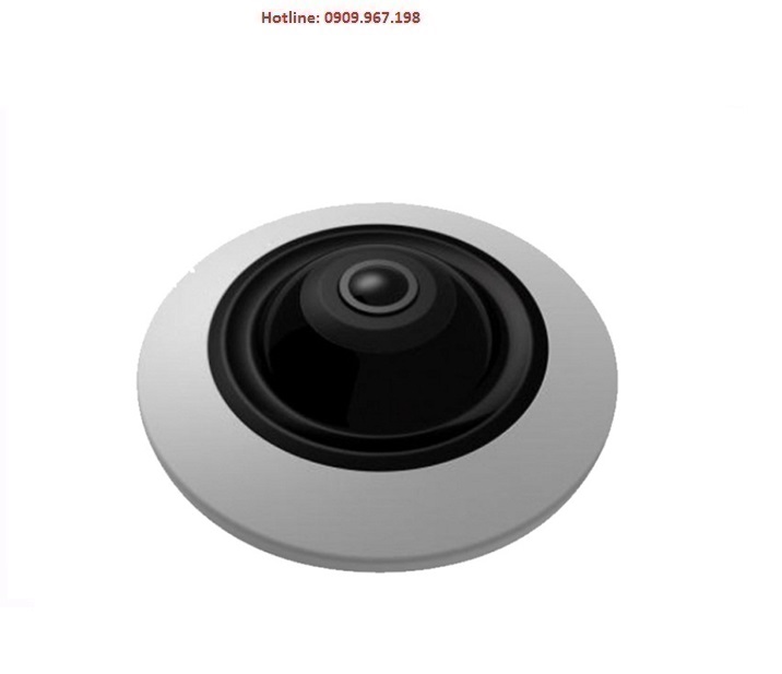 Camera HD-TVI Fisheye 5 Megapixel HDPARAGON HDS-5897TVI-360P